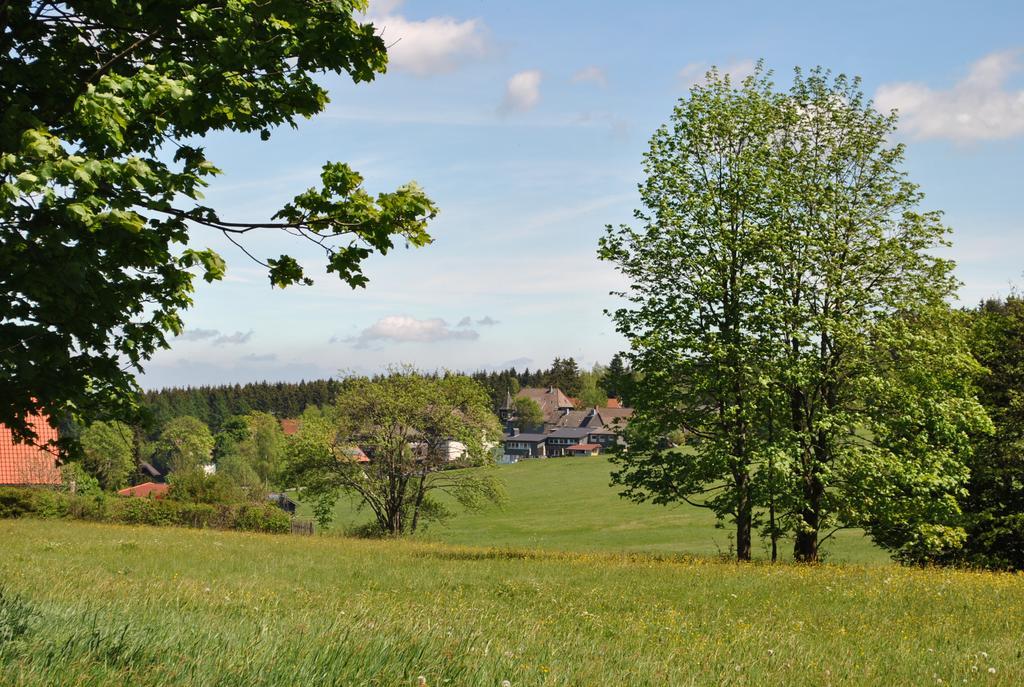 Harz-Zauber Apartamento Braunlage Exterior foto